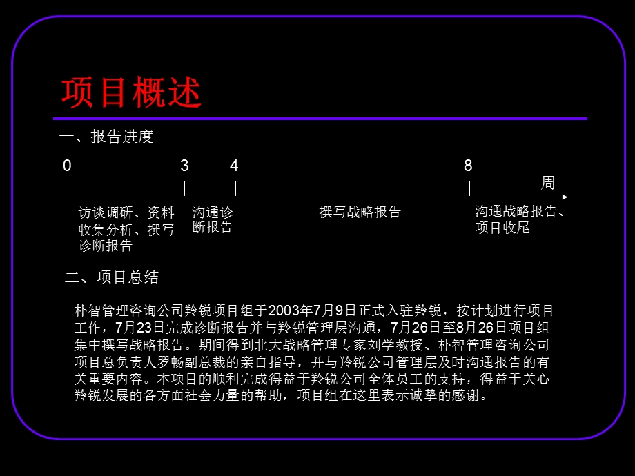 公司发展战略报告.ppt_第3页