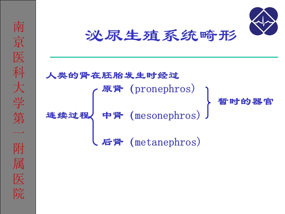 泌尿生殖系统畸形.ppt_第3页