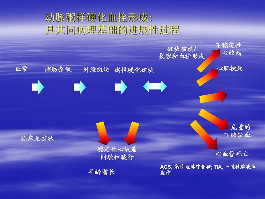 肢动脉硬化闭塞症的诊断治疗和预防.ppt_第3页