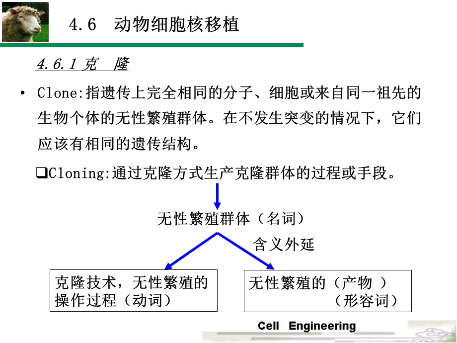 细胞拆合与重组.ppt_第2页