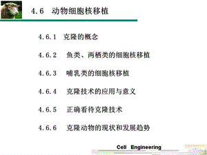 细胞拆合与重组.ppt