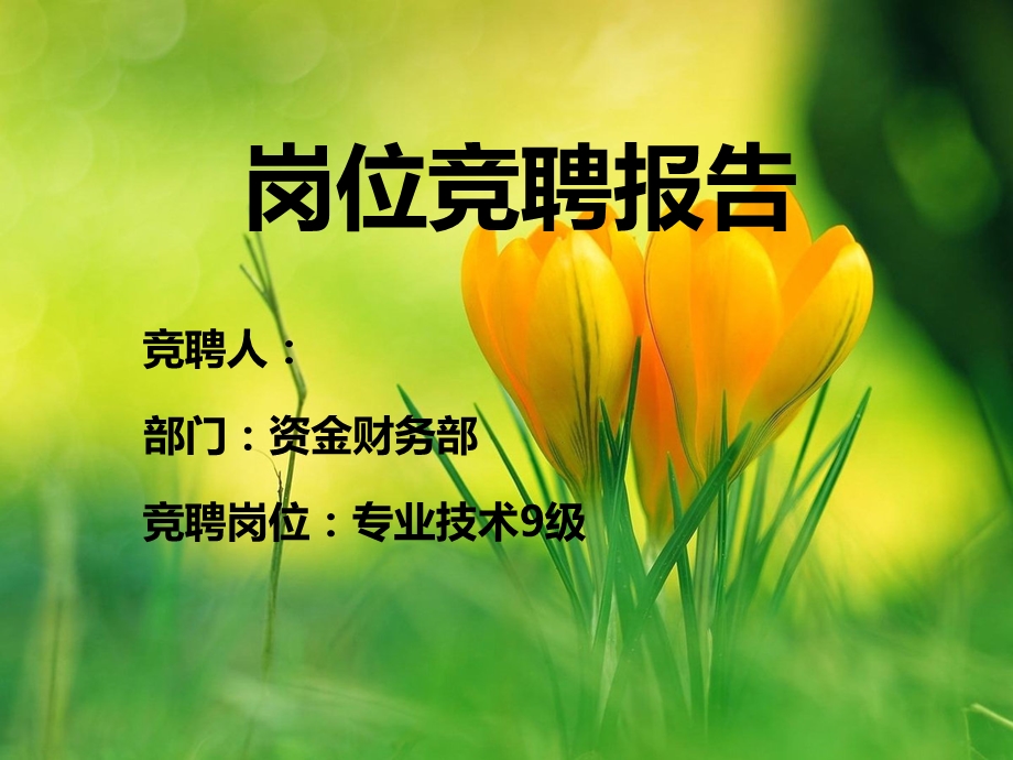 岗位竞聘Office资源宝库.ppt_第1页