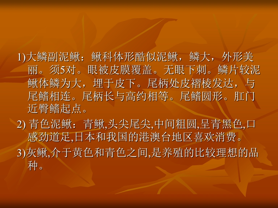 泥鳅的人工养殖技.ppt_第3页