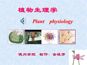 植物生理学之成花.ppt