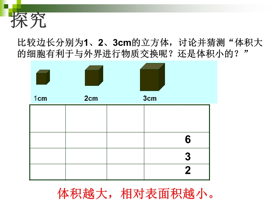 细胞增殖课件比赛.ppt_第3页