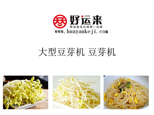 大型豆芽机豆芽机.ppt