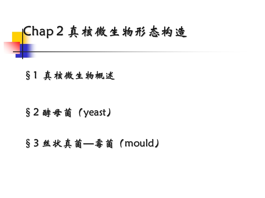 真核微生物型态构造.ppt_第1页