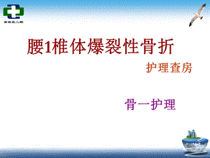 腰椎爆裂性骨折护理查房.ppt