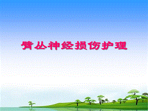 臂丛神经损伤护理.ppt