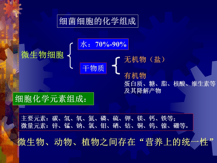 3细菌的营养与繁殖.ppt_第2页