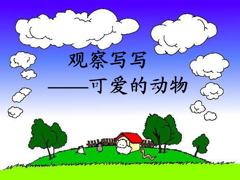 可爱的小动物.ppt_第1页