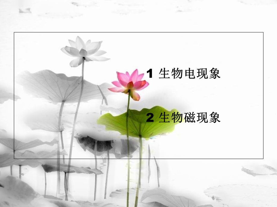 生物电学和生物磁学.ppt_第2页