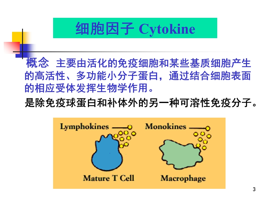 细胞因子白细胞分化抗原.ppt_第3页