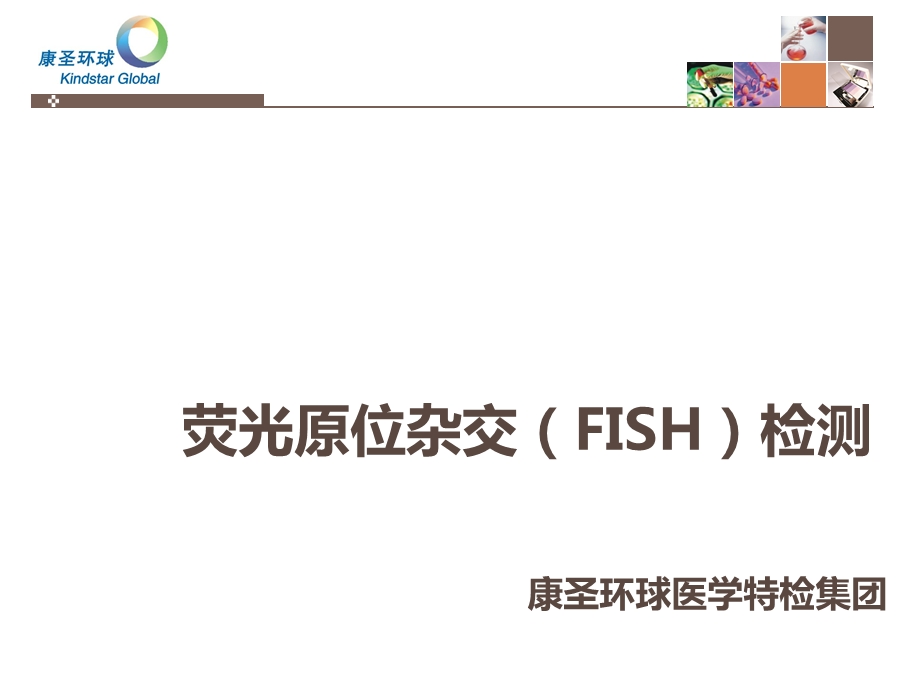 荧光原位杂交(FISH)检测.ppt_第1页