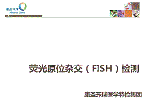 荧光原位杂交(FISH)检测.ppt