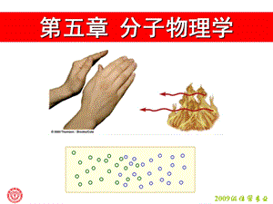 物理学(王铭)第五章分子物理学.ppt