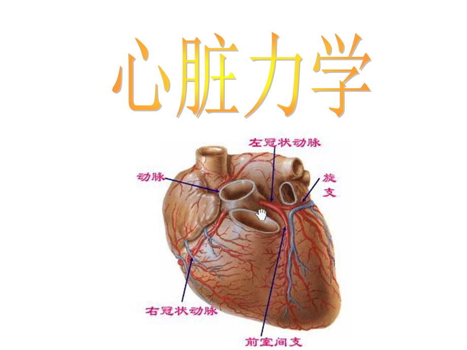 生物力学课程-心脏力学.ppt_第1页