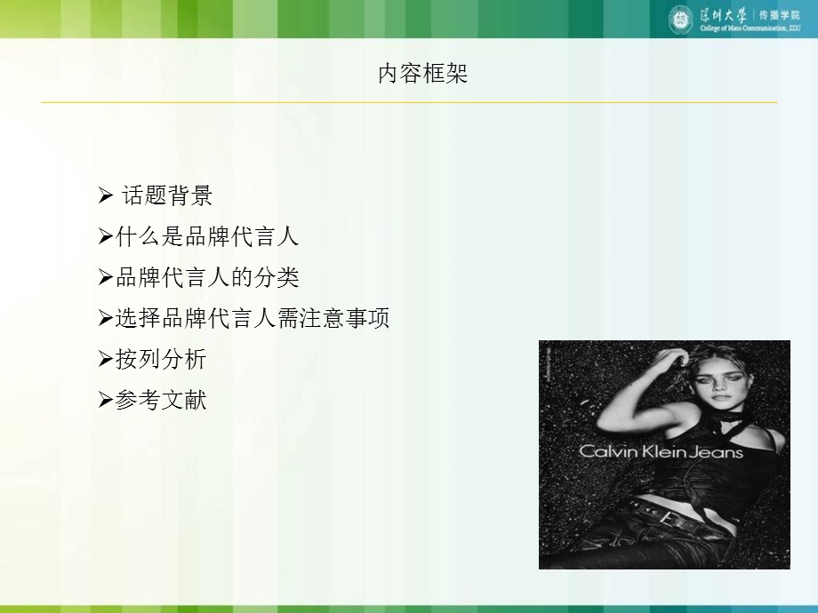 选择品牌代言人.ppt_第2页