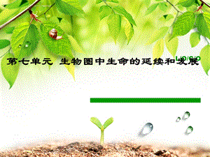 新人教版植物的生殖1 .ppt