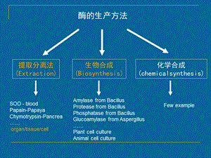 药用酶的生产技术.ppt