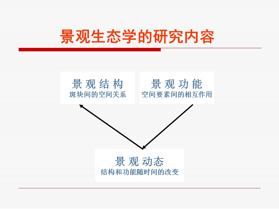 第二章景观结构.ppt_第2页