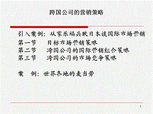 跨国公司的营销策略.ppt