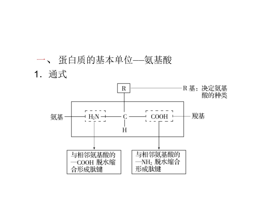 生命活动蛋白质.ppt_第2页