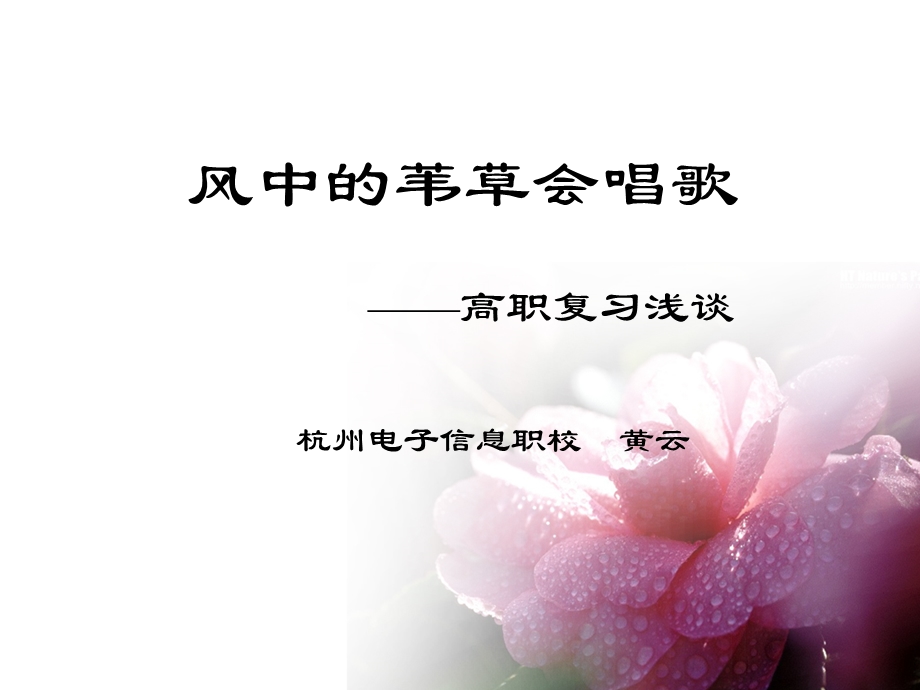 风中的苇草会唱歌.ppt_第1页