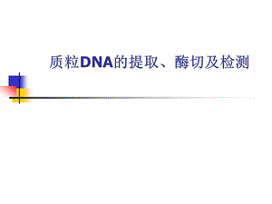 质粒DNA的提取、酶切及检测.ppt