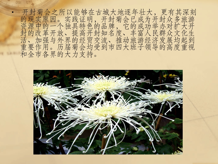 开封菊花花会.ppt_第3页