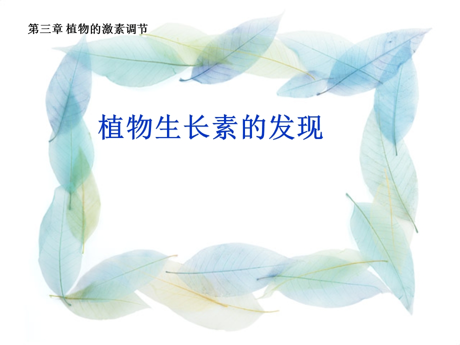 植物生长素的发现(动画很好).ppt_第2页