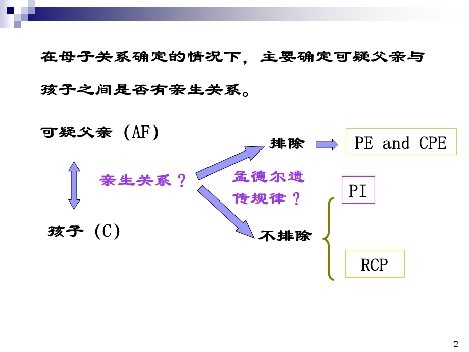 个人识别的证据意义评估.ppt_第2页