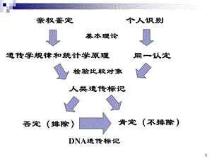 个人识别的证据意义评估.ppt