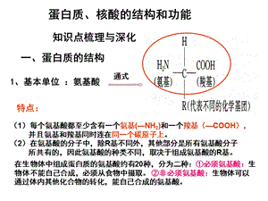 第3节蛋白质核酸的结构和功能.ppt