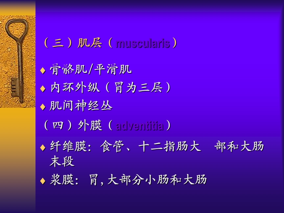 消化系统医学医药.ppt_第3页