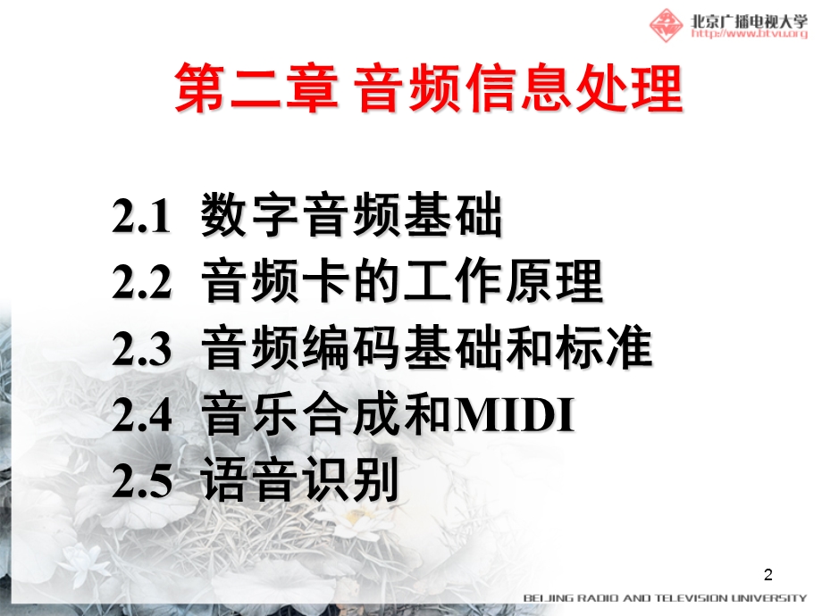 多媒体技术基础及应用.ppt_第2页