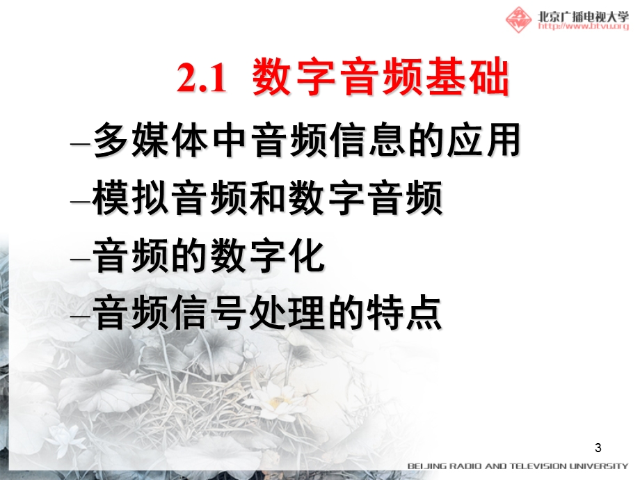 多媒体技术基础及应用.ppt_第3页