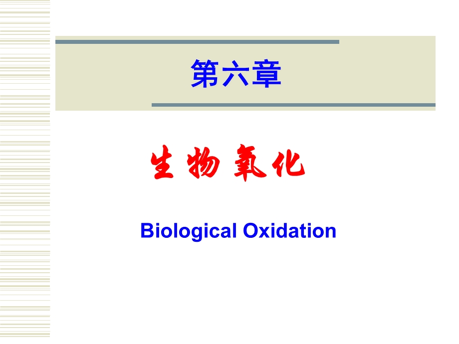 生物化学-生物氧化.ppt_第1页