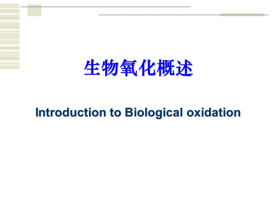 生物化学-生物氧化.ppt_第3页