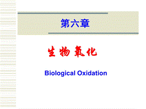 生物化学-生物氧化.ppt