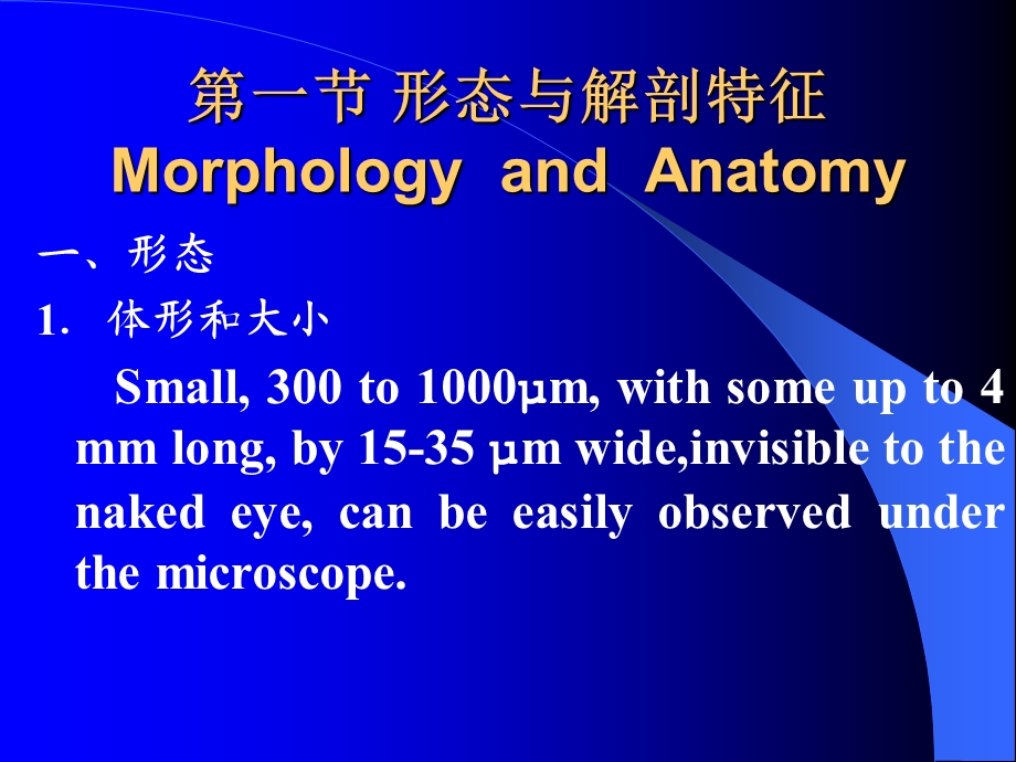 植物寄生线虫及原生动物.ppt_第3页