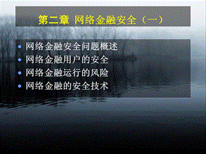 网络金融安全(一).ppt