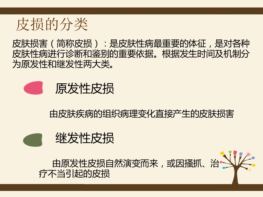 皮肤科常见皮损与相关表现.ppt_第3页