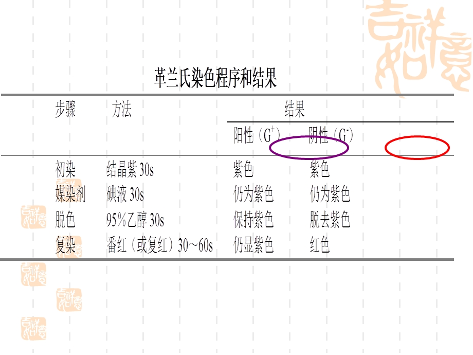 细菌的革兰染色法.ppt_第3页