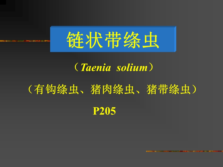 4带绦虫线虫概论蛔虫鞭虫护本.ppt_第1页