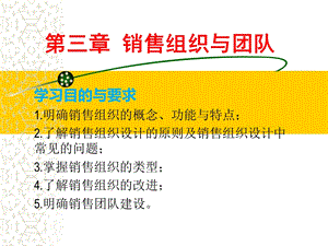 第三章销售组织与团队.ppt