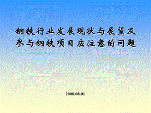 14.中国钢铁行业发展现状及展望及参与钢铁项目应注意的问题.ppt