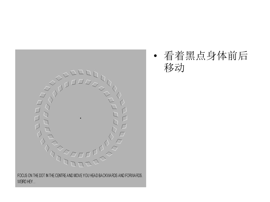 神奇图片.ppt_第3页