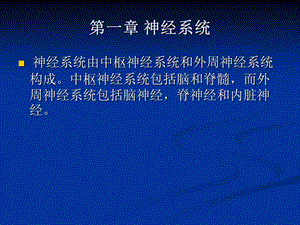 第一章神经系统.ppt