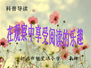 花的时钟(有教案).ppt